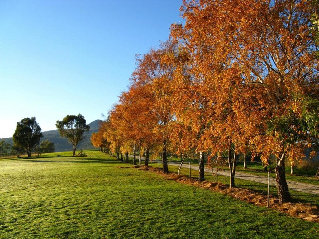 Plovers Ridge Country Retreat Villa Lilydale Стая снимка